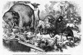 Why Does a Liberal “Think About an Elephant” – Reflections by a Polish Cognitivist