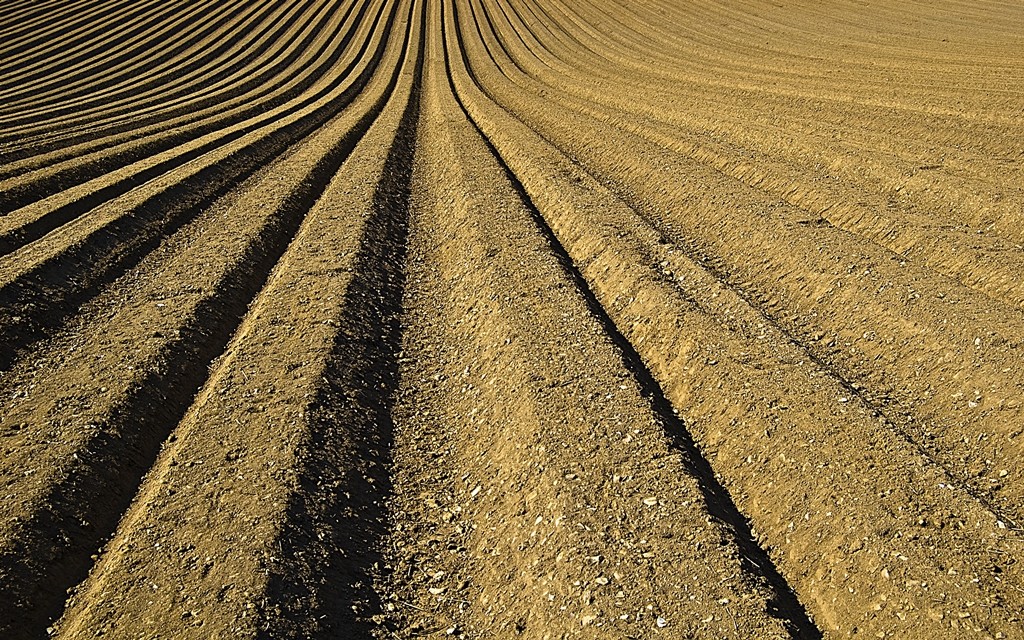 Germany’s Smart Farm: Digital Technology in Agriculture