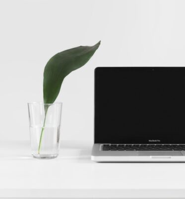 MacBook Pro beside plant in vase