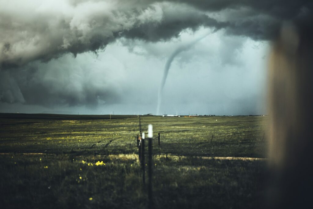 Tariffs Tornado Could Deliver Growth Boost to Estonian Companies Tariffs Tornado Could Deliver Growth Boost to Estonian Companies