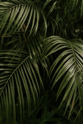 Toolkit for Change: Embedding ESG in Non-Profit Sector
