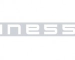 INESS-logo1-400x922