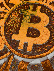 bitcoin-best-currency-of-2013