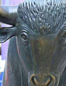 liberalism-bull