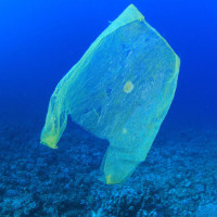 plastic-bag-ocean-water-sea