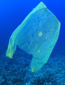 plastic-bag-ocean-water-sea