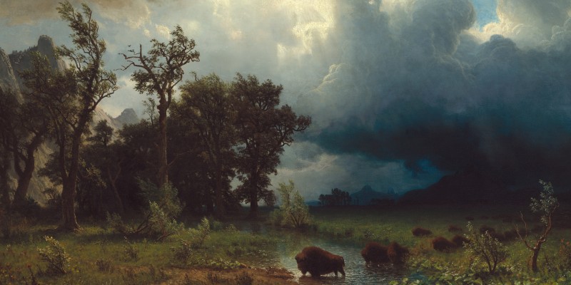 Albert_Bierstadt_-_Buffalo_Trail,_The_Impending_Storm