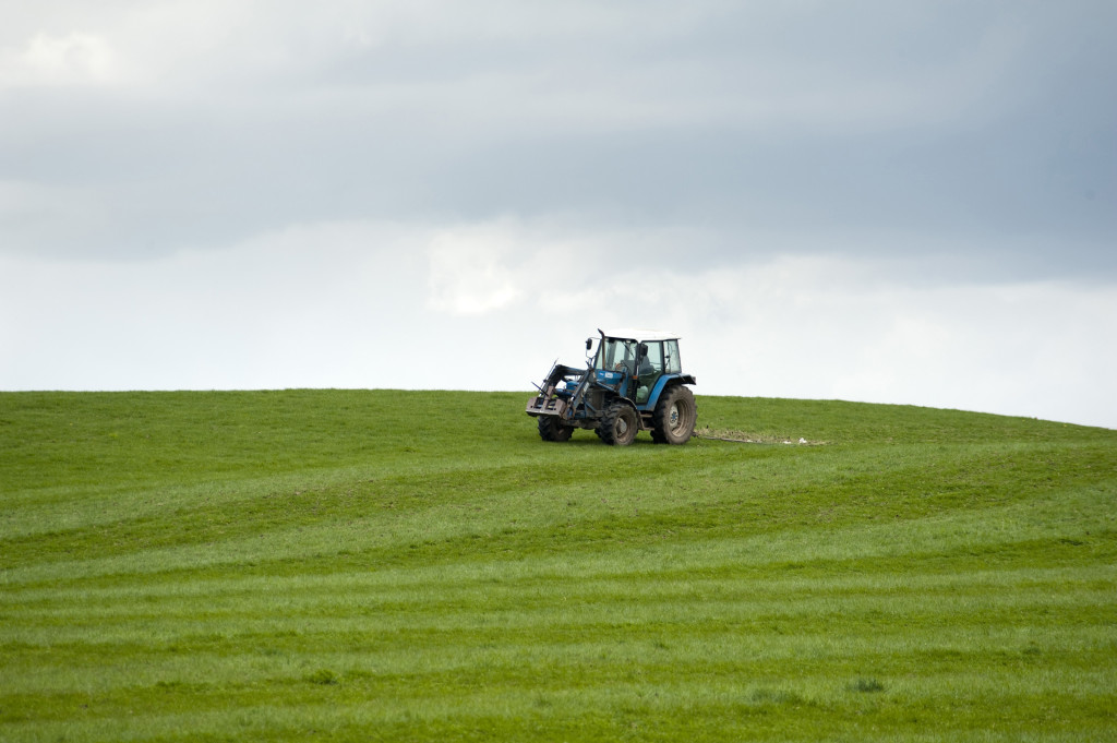 Land Consolidation in Slovakia: Chance for Real Reform