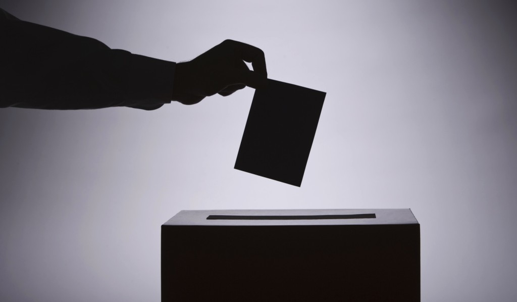 Why Are Voters Ignorant about Regional Elections?