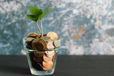 To Grow or Not to Grow? In Economics, That Was Never the Question (Until Now)
